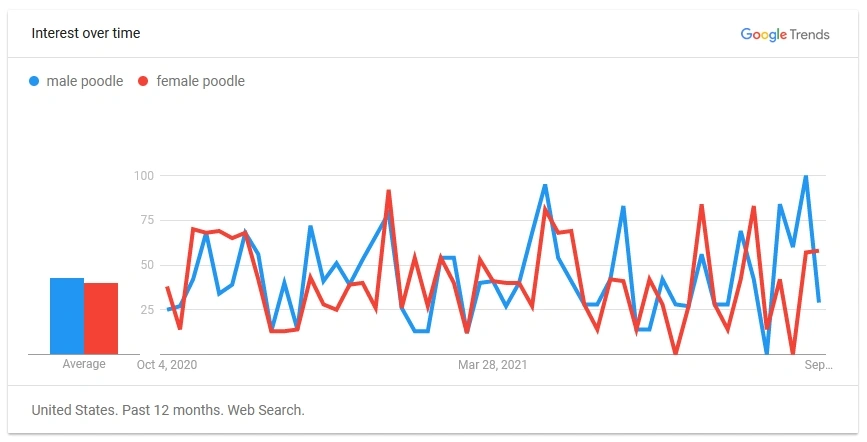 Male Vs Female Poodle