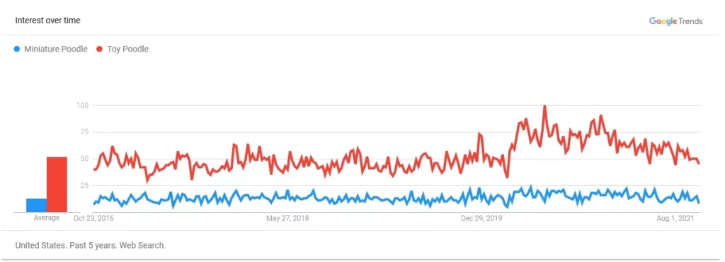 Miniature Poodle Vs. Toy Poodle: Which Is Better For You? 
