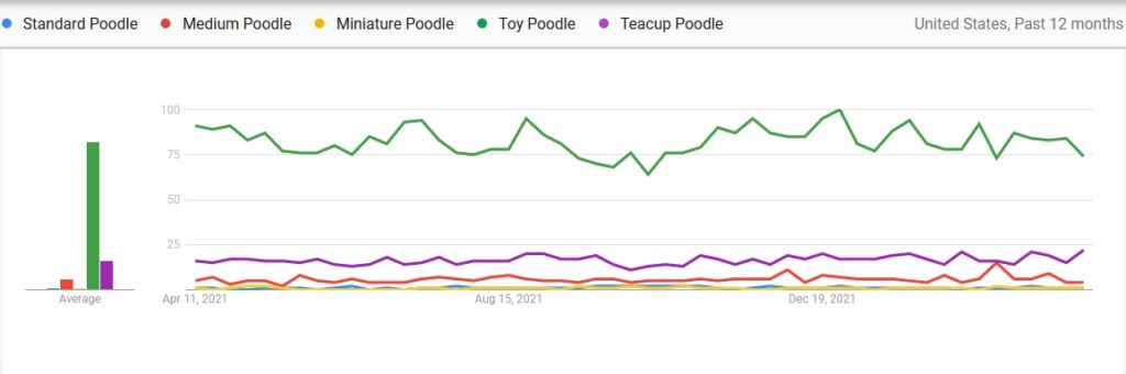 Which Poodle Size Is Most Popular.