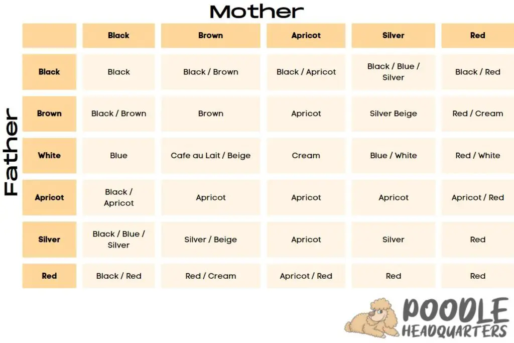 Poodle Colors Table