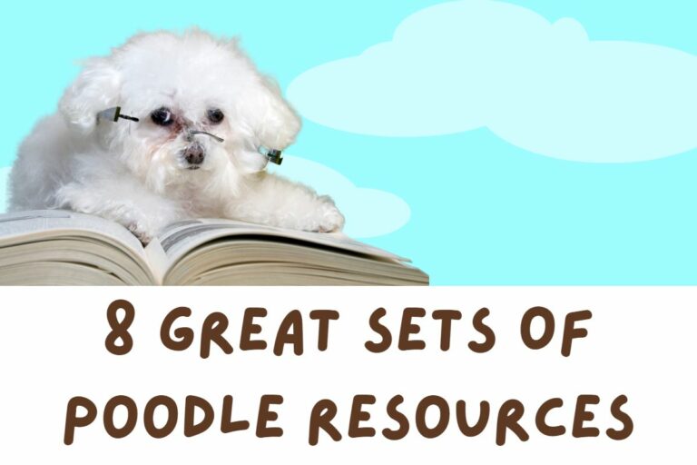8 Great Sets Of Poodle Resources
