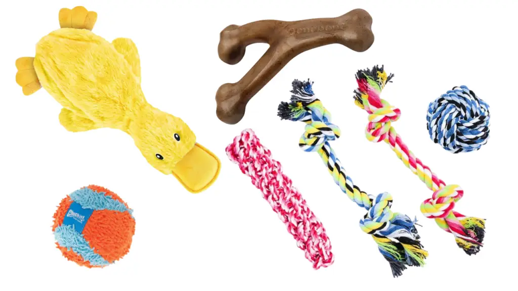 Dog Toys