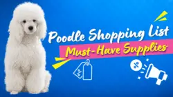Poodle Shopping List: Must-Have Supplies for Your New Pet