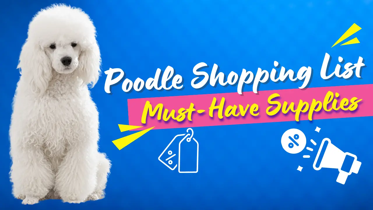 poodle shopping list