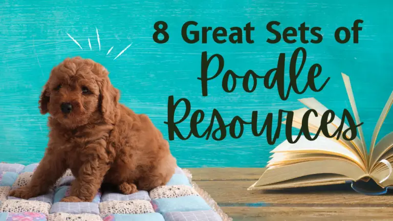 8 Great Sets Of Poodle Resources
