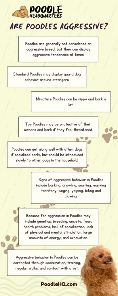 Are Poodles Aggressive Infographic