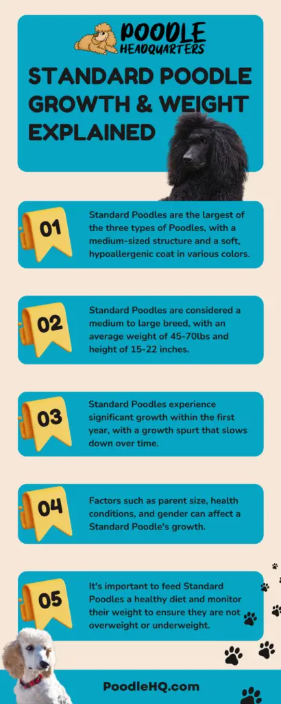 Standard Poodle Growth & Weight Infographic