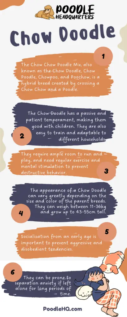 Chow Doodle Infographic