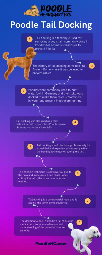 Poodle Tail Docking Infographic