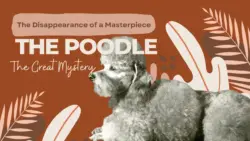 The Disappearance of Masterpiece The Poodle: The Great Mystery