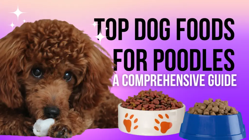Top Dog Foods For Poodles: A Comprehensive Guide