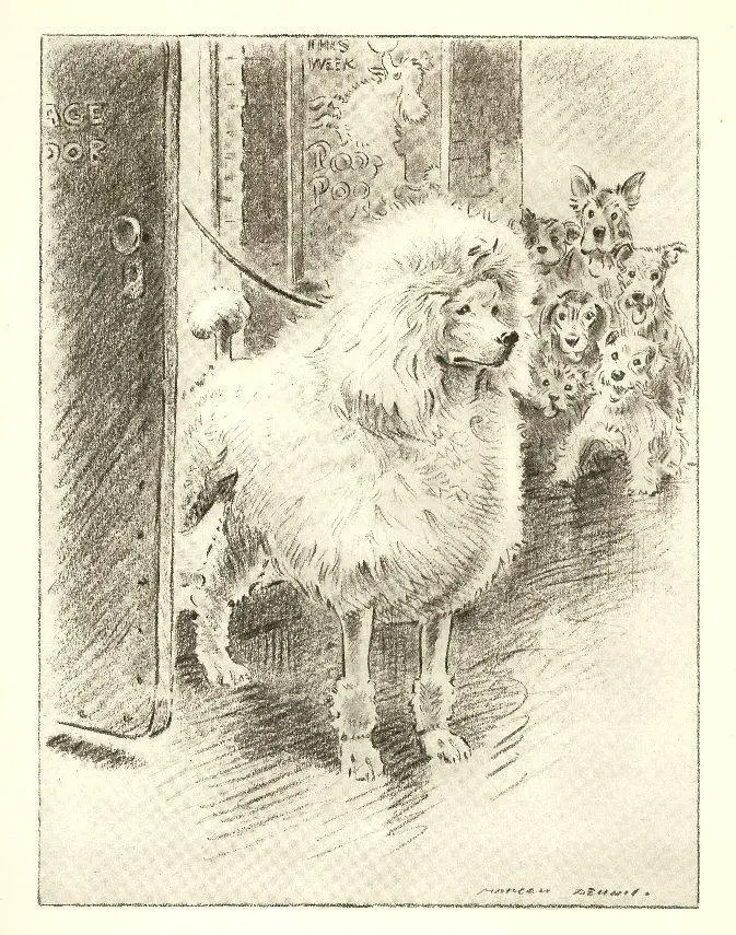 A Brief History Of Poodles