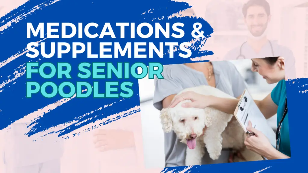 Medications &Amp; Supplements For Senior Poodles