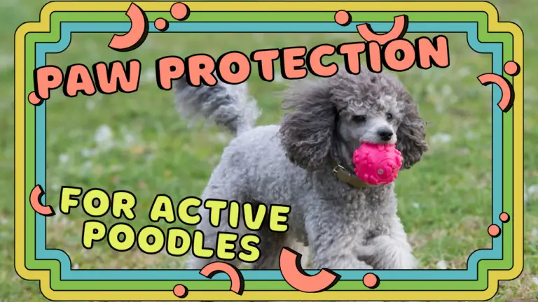 Paw Protection For Active Poodles - Keep Paws Safe!